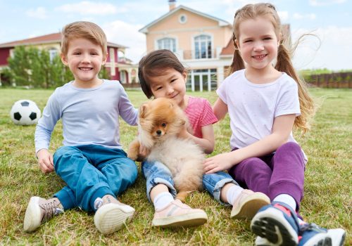 Multi-ethnic group of kids posing together sitting on green lawn and playing with puppy in front yard of two storey house, copy space